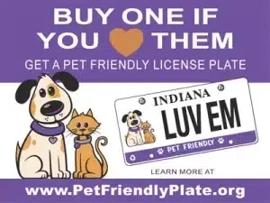 Buy One If You Love Them — Get a Pet Friendly License Plate